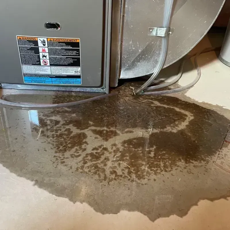 Appliance Leak Cleanup in Davis Junction, IL